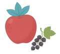 Natural Apple & Blackcurrant